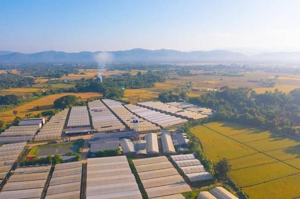 慈溪，城市中的农业高地，商业的摇篮