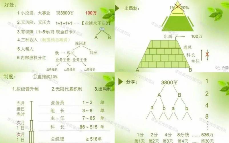 传销建站成本分析,从成功案例到运营策略