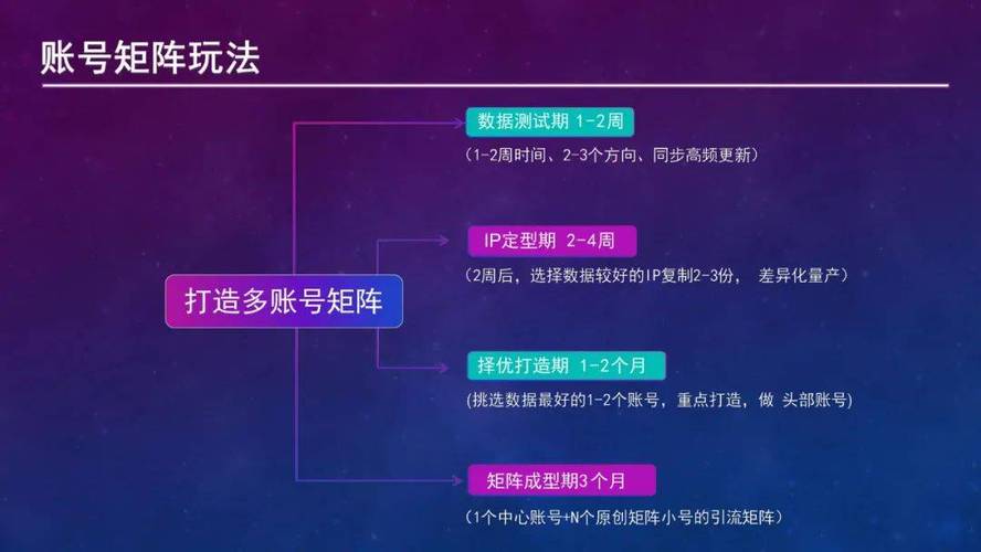 抖音认证指南，如何正确设置代网账号