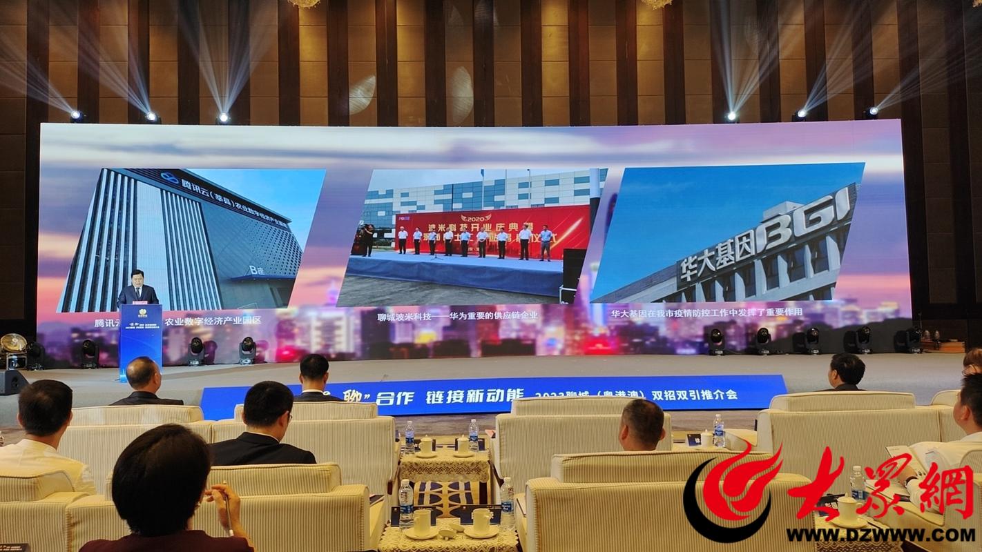 聊城,网络浪潮下的生存之道