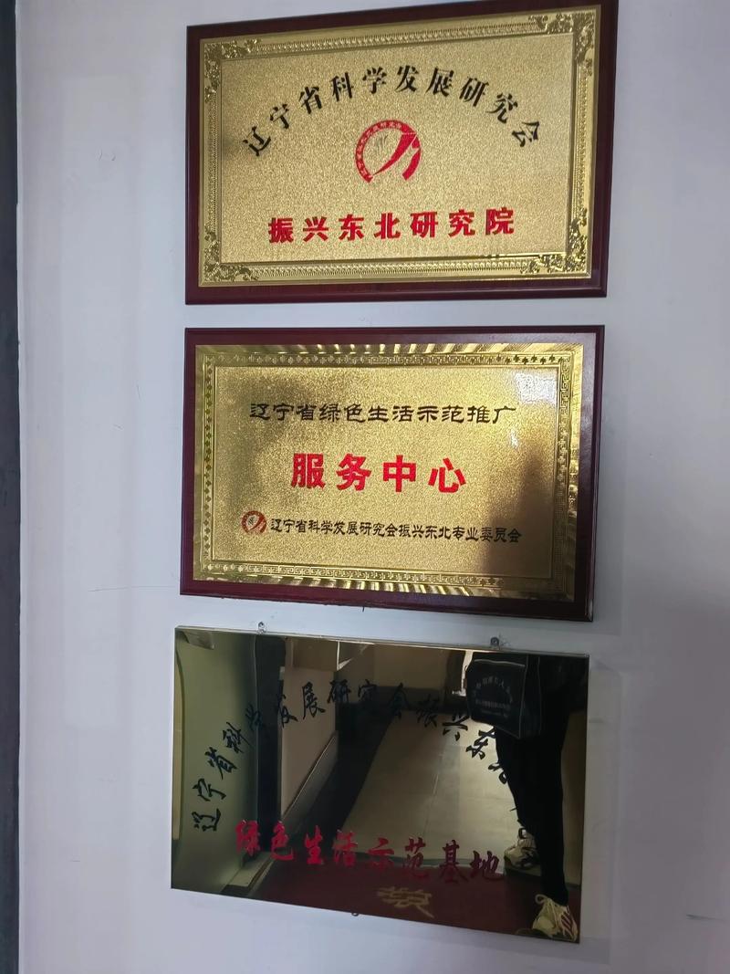 沈阳网站建设工作室，专业靠谱，助力您的品牌崛起！