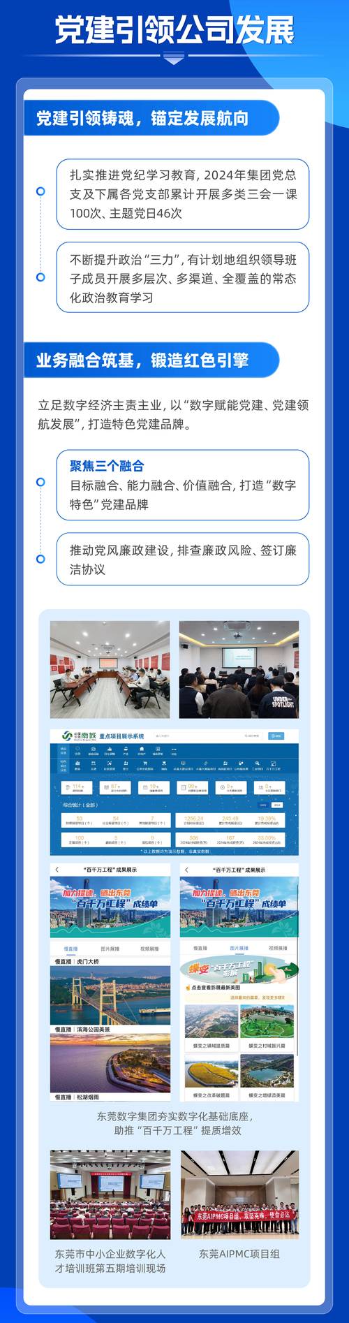 东莞市讯网，本地化市场中的技术领先者