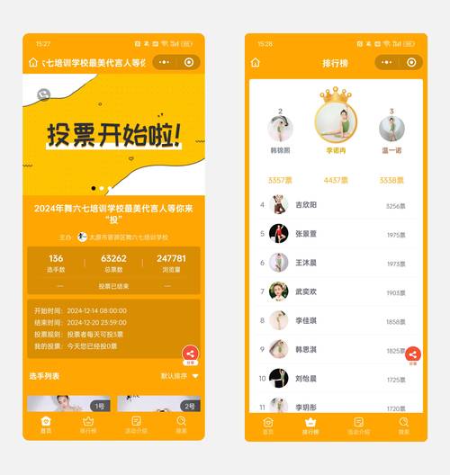 票品下载与播放量如何优化你的账号表现