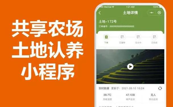 衡水,现代化城市的崛起,营销型网站建设开启新篇章