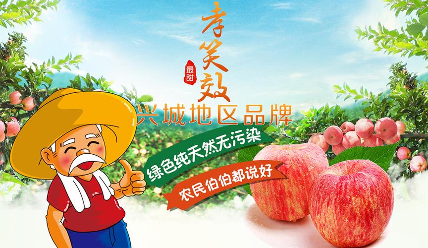 网络推广的重要性与兴安盟的推广费用