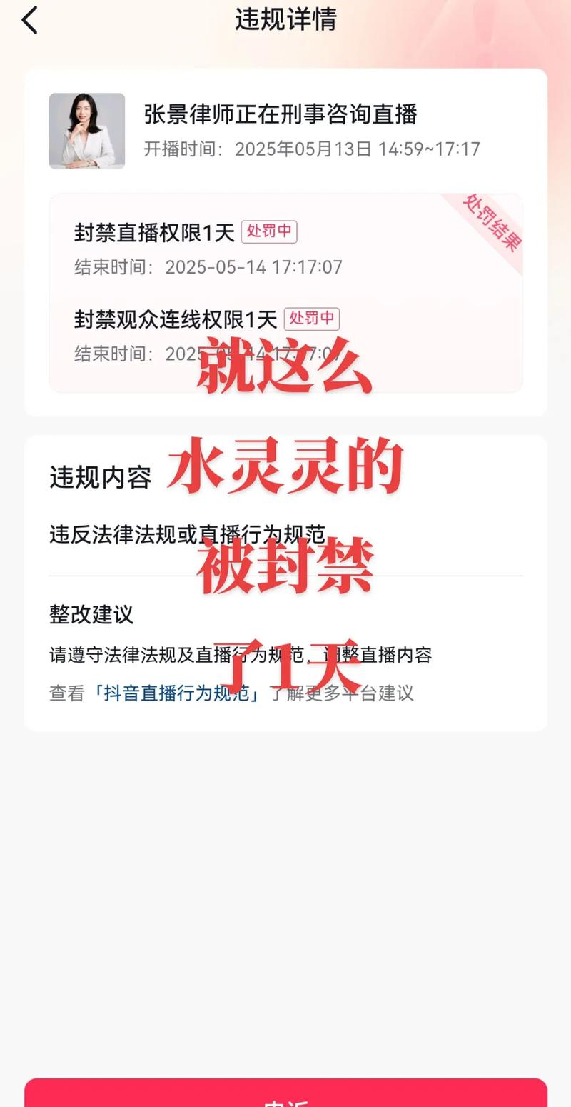 抖音播放被封号指南,如何应对抖音账号被封