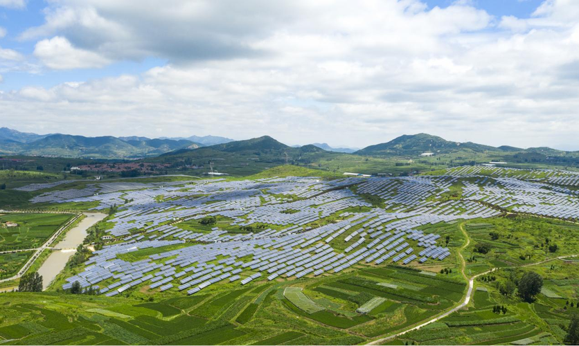 日照最牛的网络科技公司，助力农业科技化转型