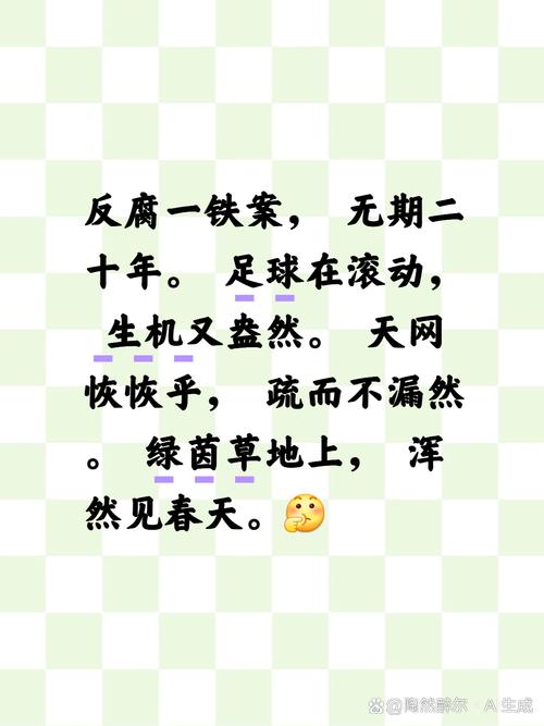 217年网络关键词,现象与启示