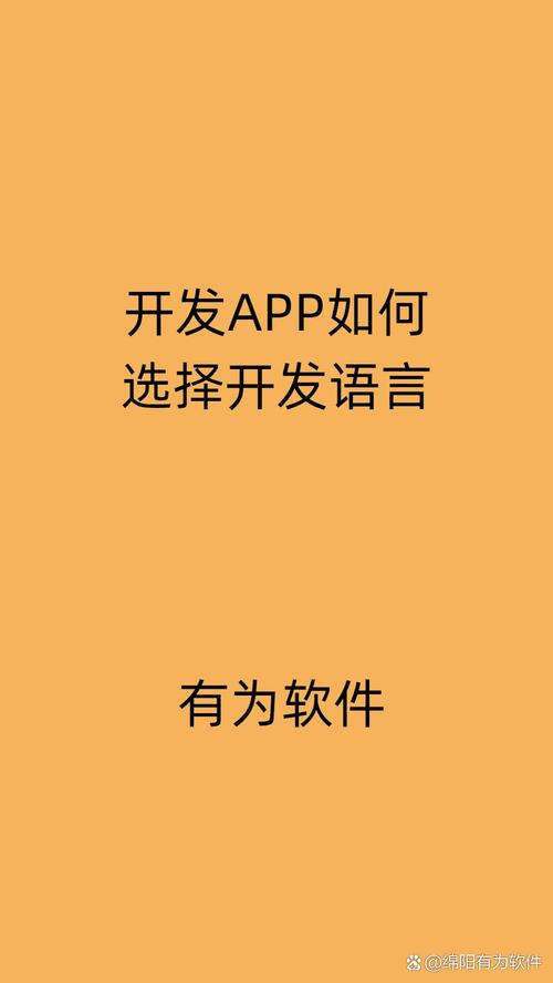 一、选择开发语言的重要性