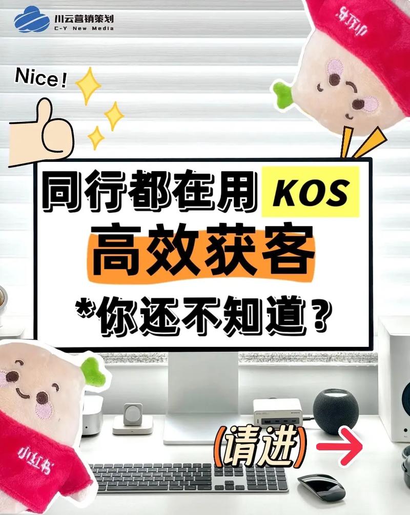 抖音自助下单，超低价KOS业务代价3个，instant 收货 确保你的商业计划顺利进行！