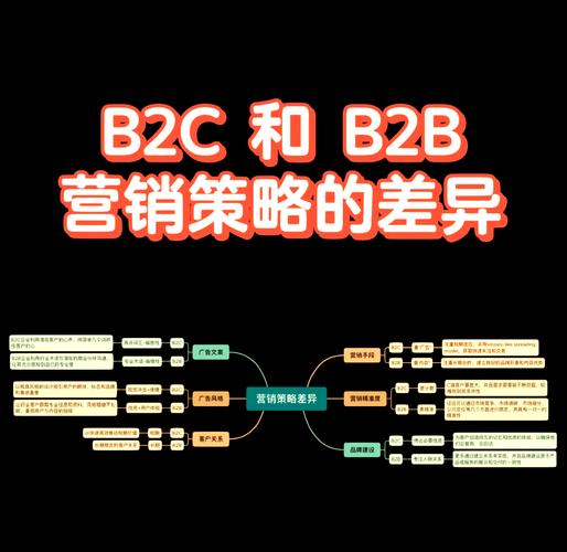 外贸B2C网络推广，市场分析与策略指南