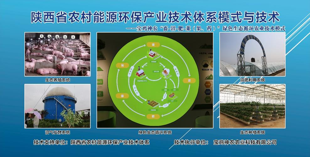 以平台为纽带,构建内容生态新生态