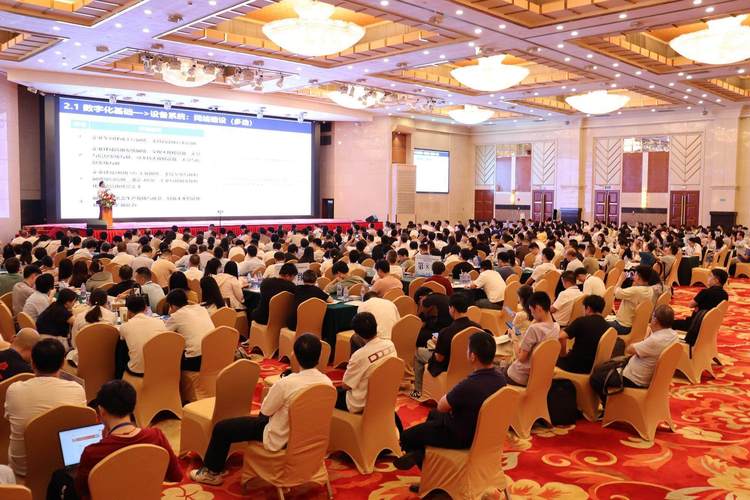 东莞网络公司菲凡网，助力企业数字化转型的强劲助力