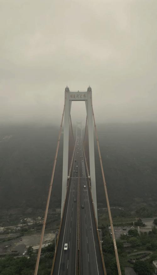 网络，连接世界的桥梁