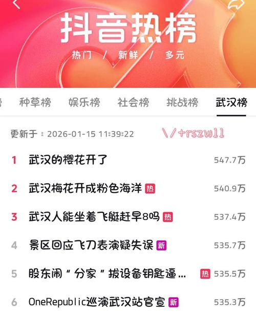 抖音代刷网，提升内容审核效率的优质选择