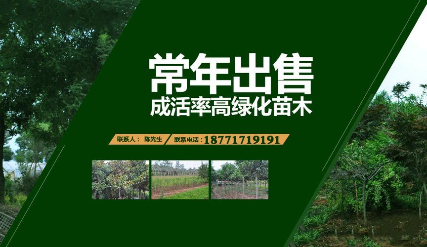 长沙SEO外包哪家好