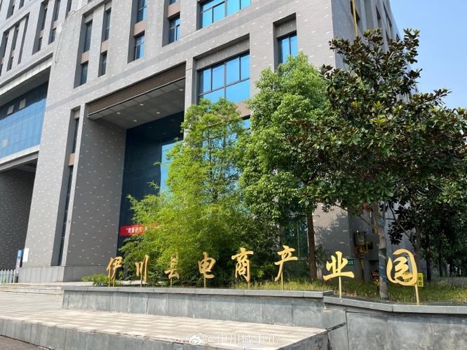 河南专业网络公司哪家好？