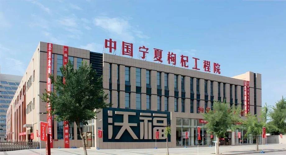 宁夏网站建设公司推荐