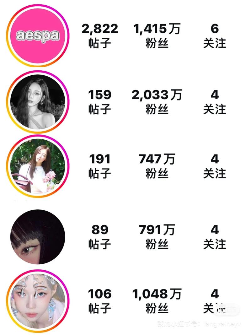 抖音粉代网代数评论指南