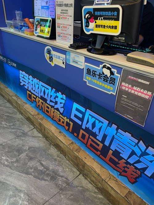 南阳春阳网络公司，在数字时代，守护您的网络权益