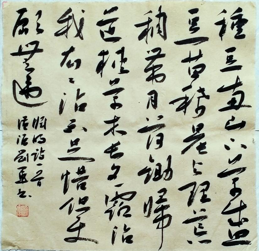 蒙特罗的 主 营 剿 主 营 作 范 围