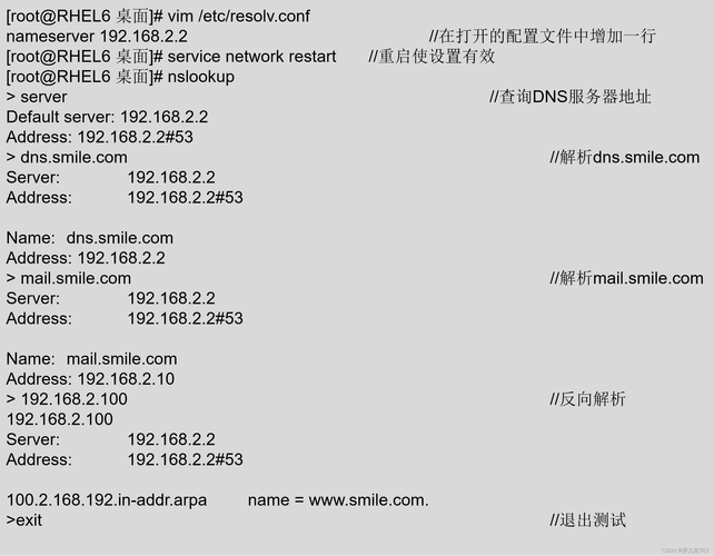 DNS网络代理服务器指南