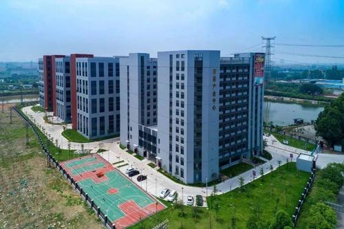 东莞望牛墩，打造本地化网站的必经之路