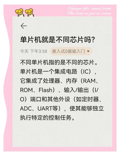 计算机硬件中的关键区别，CPU与核显的区别与作用解析