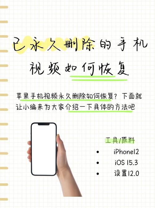 如何在短视频平台轻松实现双击秒刷和代刷?从基础到优化!