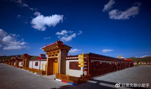 甘南中山网络公司，选择的决定