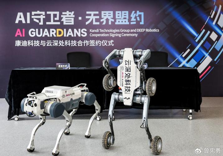 南阳市小龙网络科技发展怎么样?