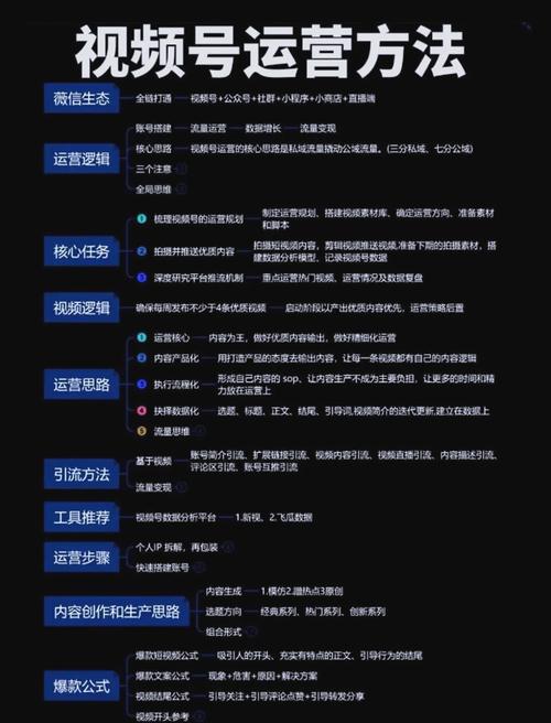 一、短视频平台运营的高点，内容推荐与精准流量获取