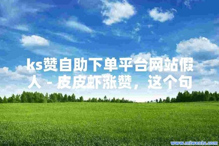 抖音评论赞自助下单平台,让用户体验更优化!