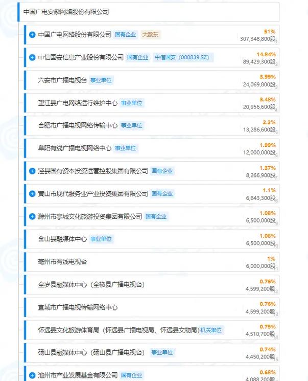 安徽省网络公司排名指南