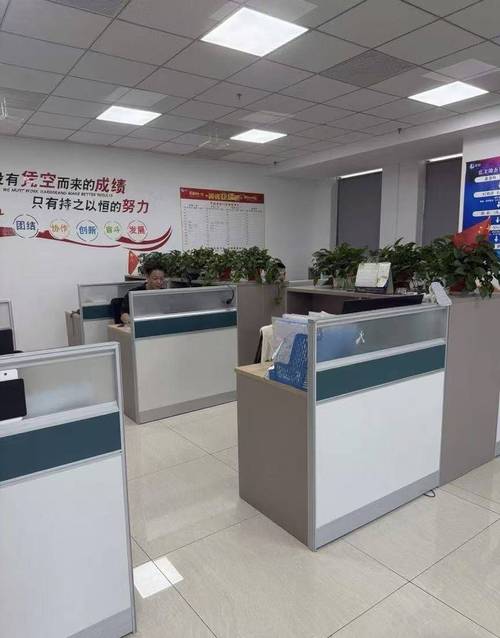 邢台网络公司,专业可靠,服务优质