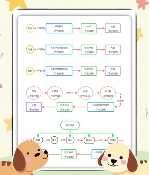 网站如何高效利用图片