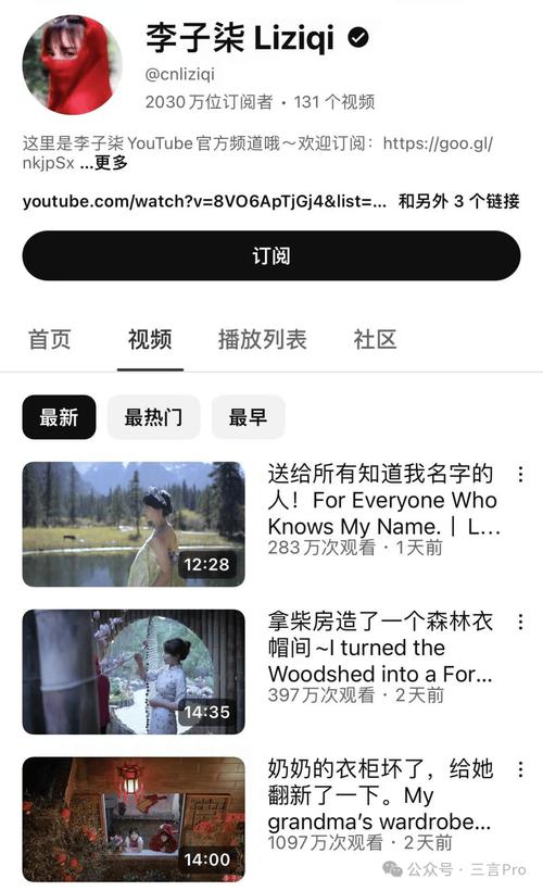 下单平台网站，短视频行业的重要平台