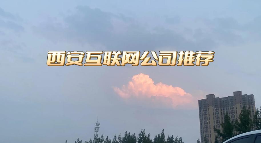 西安网络发布公司简介