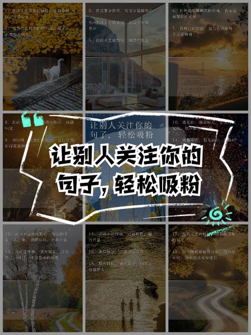 快,抖音,快手,点赞播放!这些内容都值得你关注!