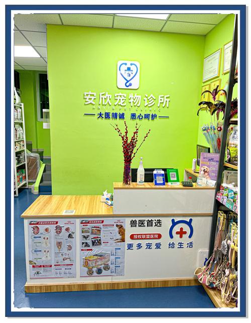 宠物医院网站设计与运营指南，打造数字化医患关系