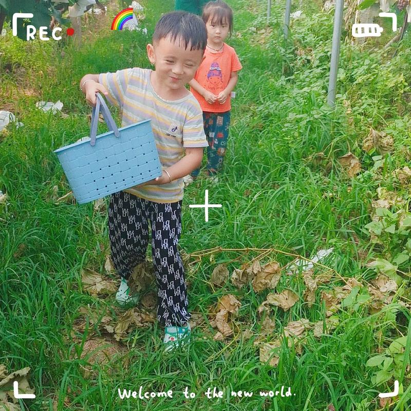 西瓜平台自助点赞的基本步骤