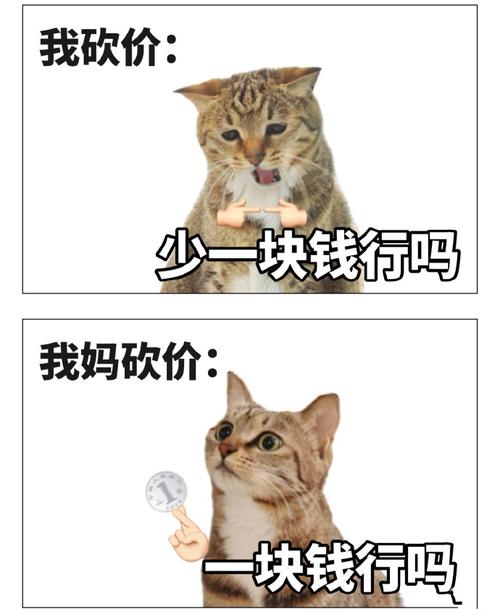 慢速杀,快速买到心仪商品,错过就要后悔