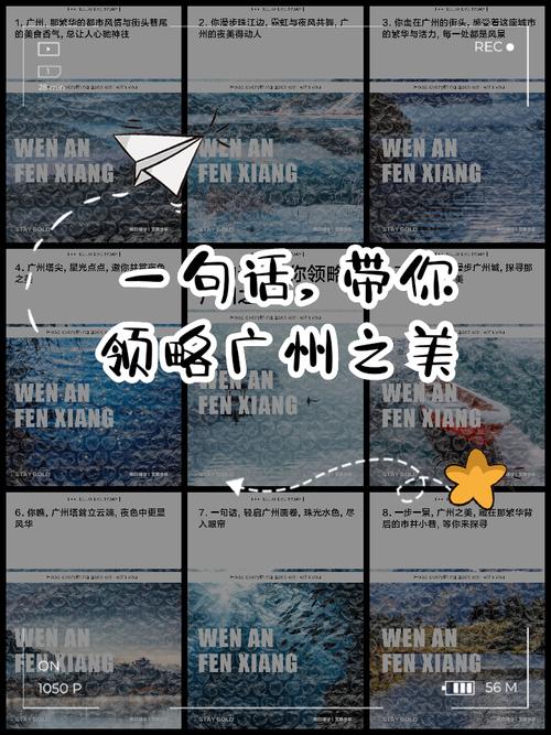 网络用语莞湖，广州特色与地域魅力