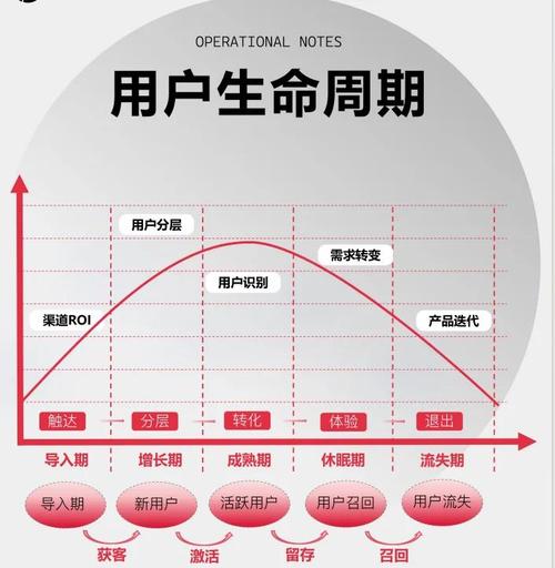 泰安精准营销,从策划到落地的全生命周期管理