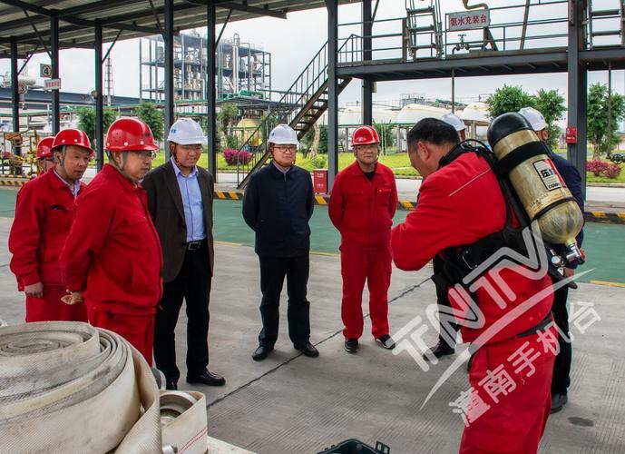 重庆潼南网站建设报价,从设计到运营的高效方案