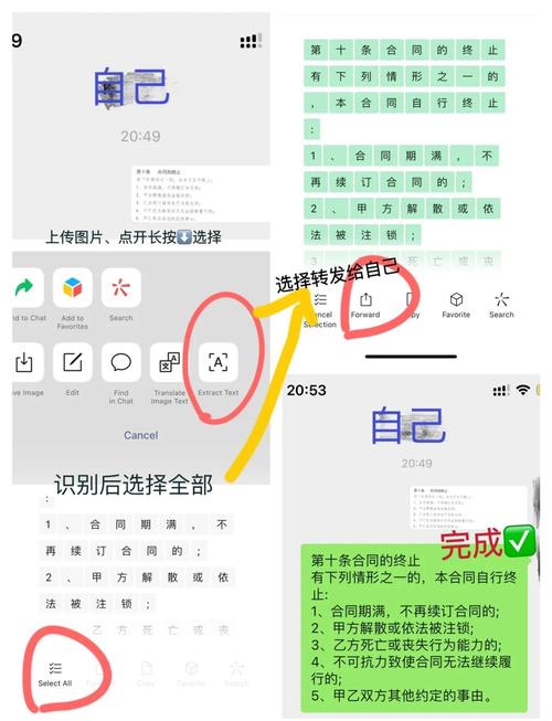 如何用秒刷工具高效获取内容数据?从优化到运营,你值得试试!