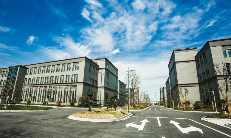 姜堰网站开发哪家专业?