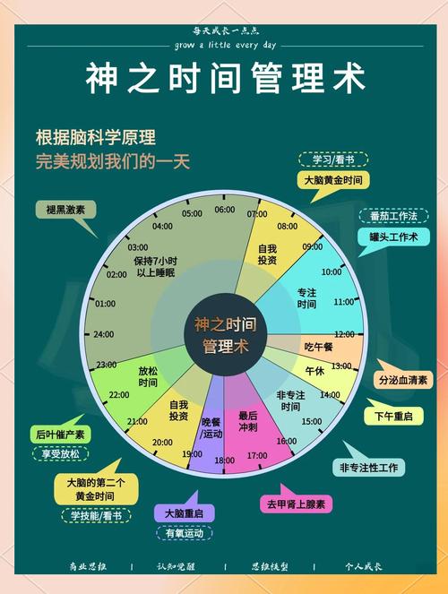 如何高效刷赞，从时间管理到内容策划
