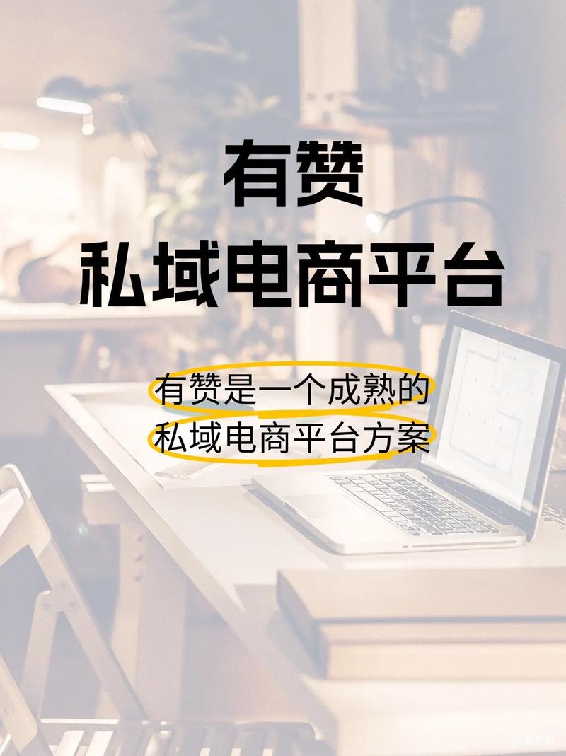 抖音赞推广平台,快速获取用户信息,助力B2B连接