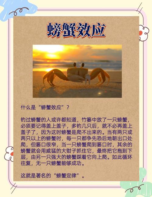 网络用语吃螃蟹，一场关于爱的寓言